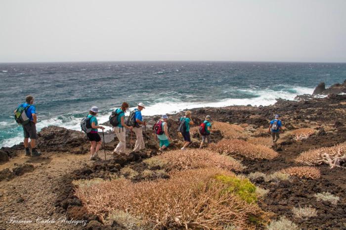 Piso Nuevo En El Puertito De Gueimar Al Lado Del Mar Realizamos Servicio De Excursiones Con Guia Puertito de Guimar Bagian luar foto